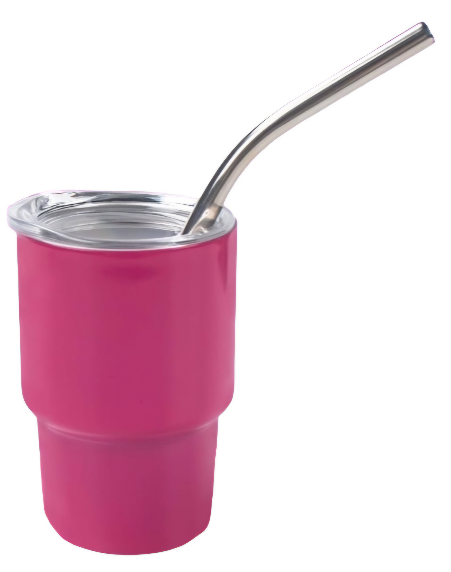 Mini Tumblers 6pc. Set - 3oz. Stainless Steel with Lid and Straw
